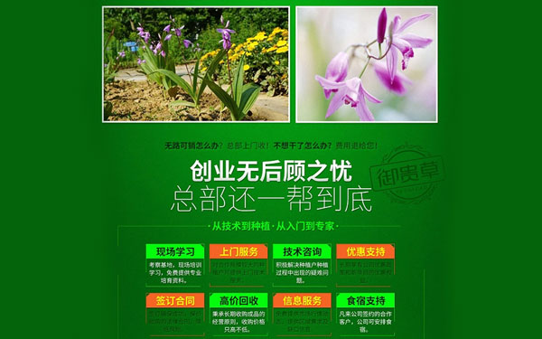 贵州华科金农生态农业发展有限公司 白芨种植可以放心创业